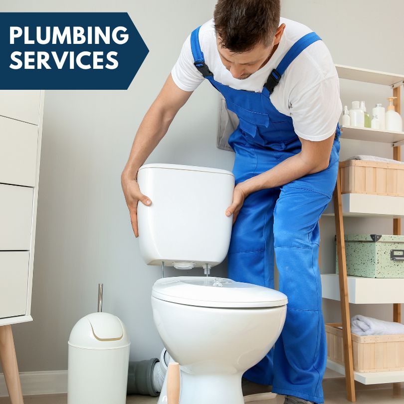 Plumbing Company in Royalton, IL